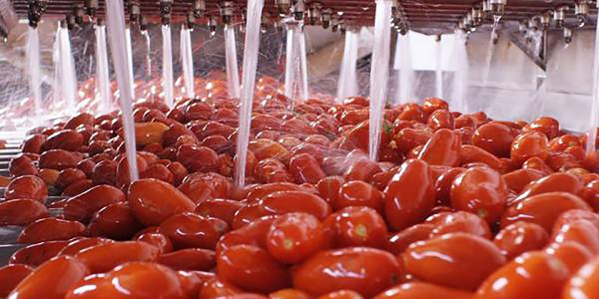 Pomodoro da industria del Nord, fissato il prezzo